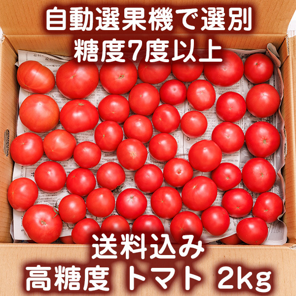 糖度7度以上のトマト2kg　自動選果機で選別 農家発送 沖縄産とまと【送料込】_画像1