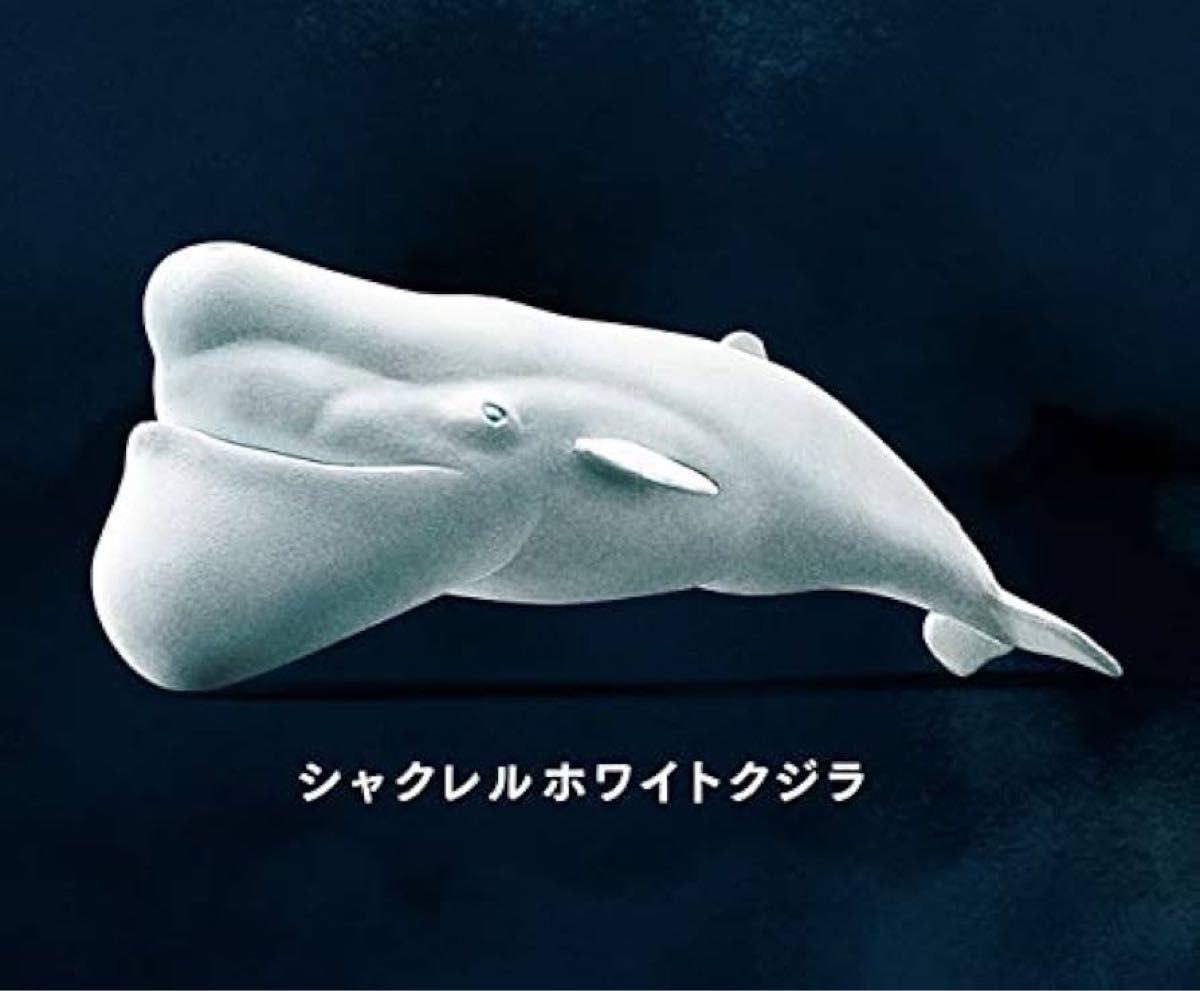 【パンダの穴】シャクレルホワイトクジラ シャクレルホワイト タカラトミーアーツ ガチャガチャ