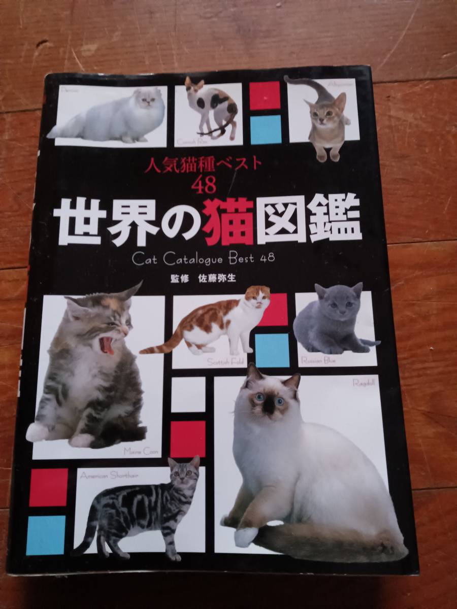  мир. кошка иллюстрированная книга популярный кошка вид лучший 48| Sato . сырой [..] *0124
