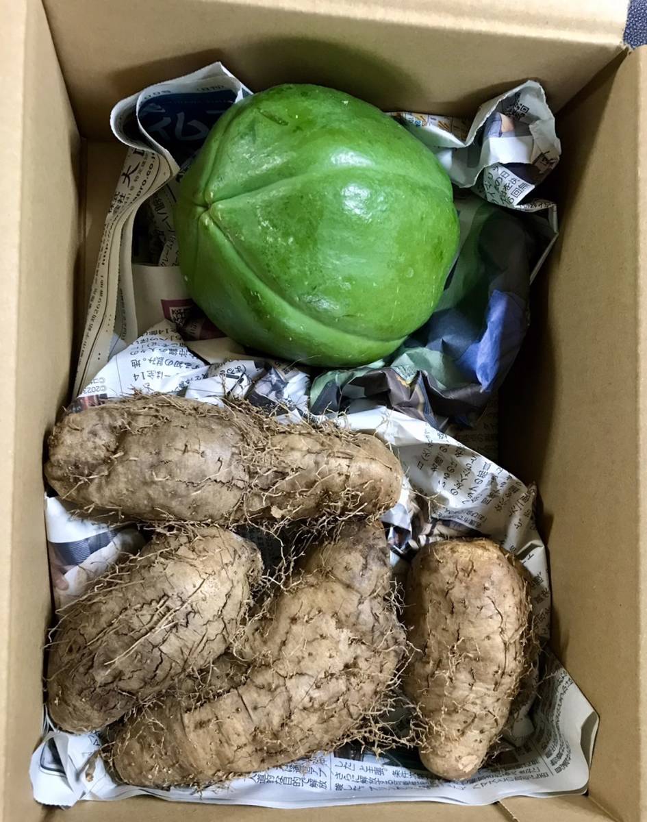 沖縄本島北部「やんばる産直」 青パパイヤ・クーガ芋の最強野菜セットの画像1
