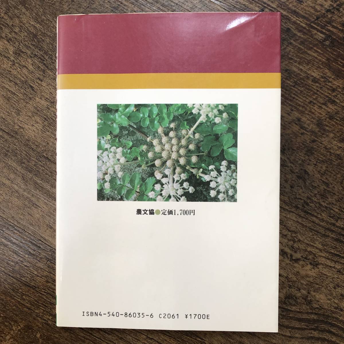 J-3391■山菜栽培全科 有望53種■大沢章/著■農山漁村文化協会■昭和62年2月20日 第2刷_画像2