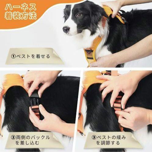 ハーネス リード 一体型 中型犬 大型犬 Y字型デザイン 通気性 自動開閉式の画像2