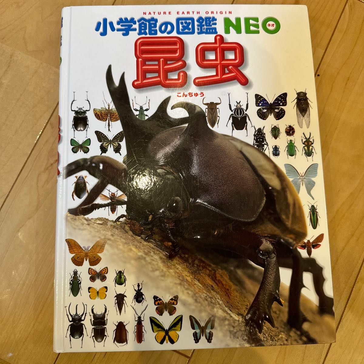 小学館の図鑑 NEO 昆虫