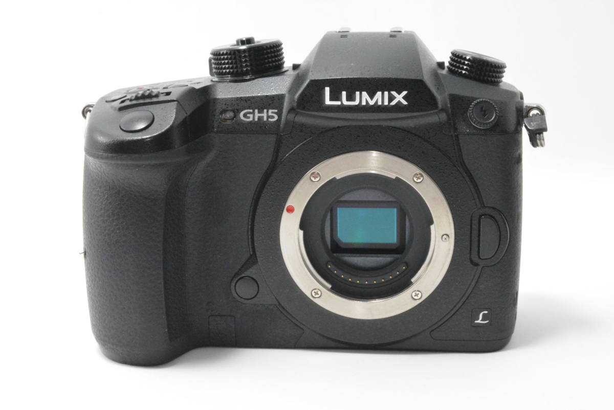 ★並品★パナソニック PANASONIC GH5 ボディ_画像2