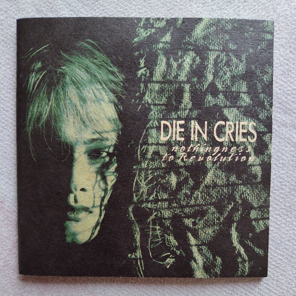 DIE IN CRIES NOTHINGNESS TO REVOLUTIONの画像7