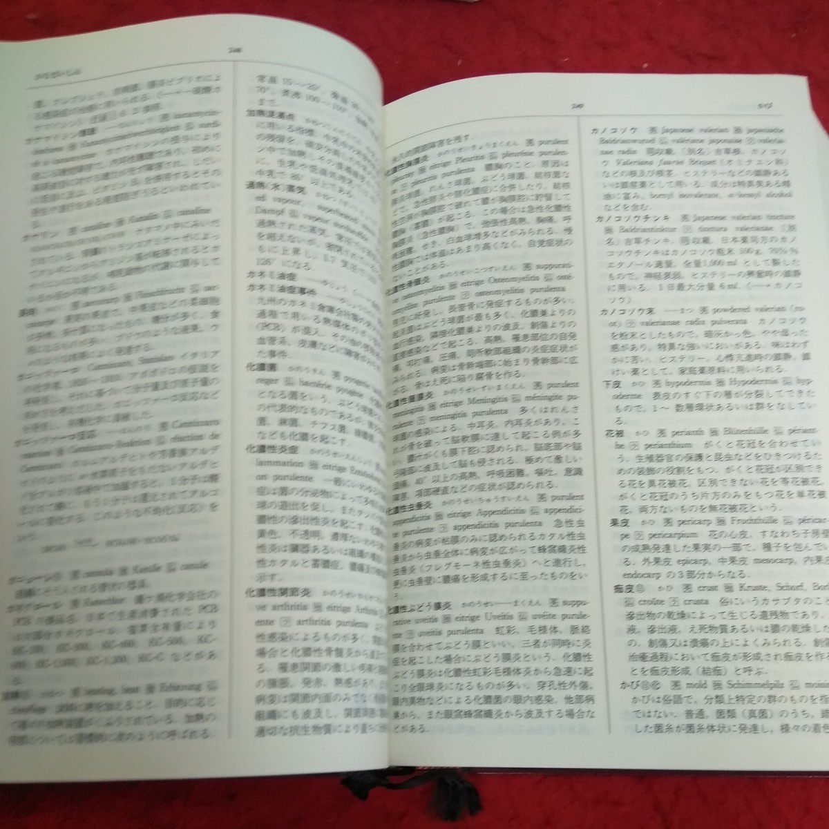 e-416 廣川 薬科学大辞典 廣川書店 昭和58年初版第一刷発行 抗生物質構造式表 処方用語 英語 独語 仏語 ラテン語 箱入り※1_画像5