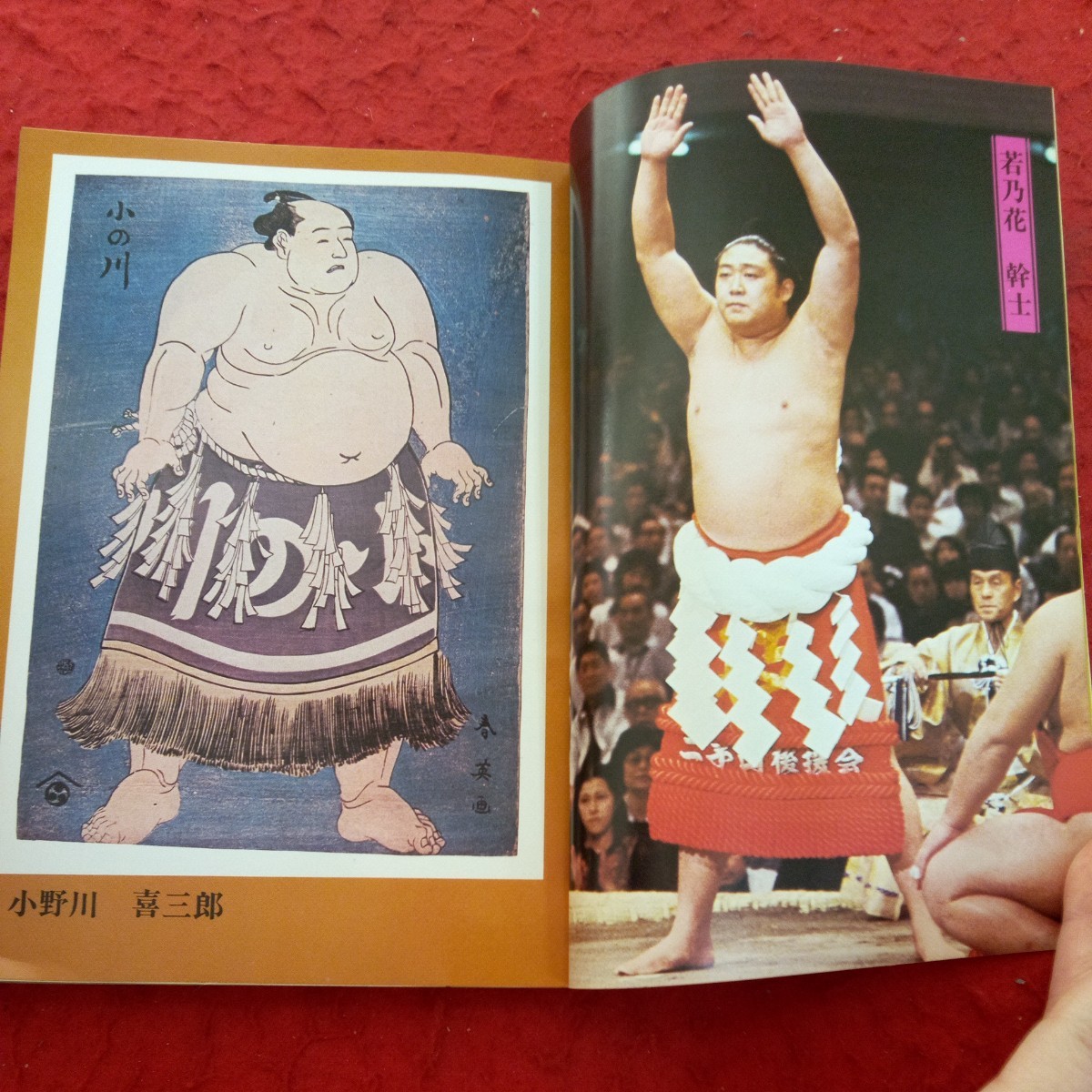 e-526 大相撲はんどぶっく 横綱 ゴング 昭和54年発行 10月号増刊 e-526 大相撲はんどぶっく 横綱 ゴング 昭和54年発行 10月号増刊