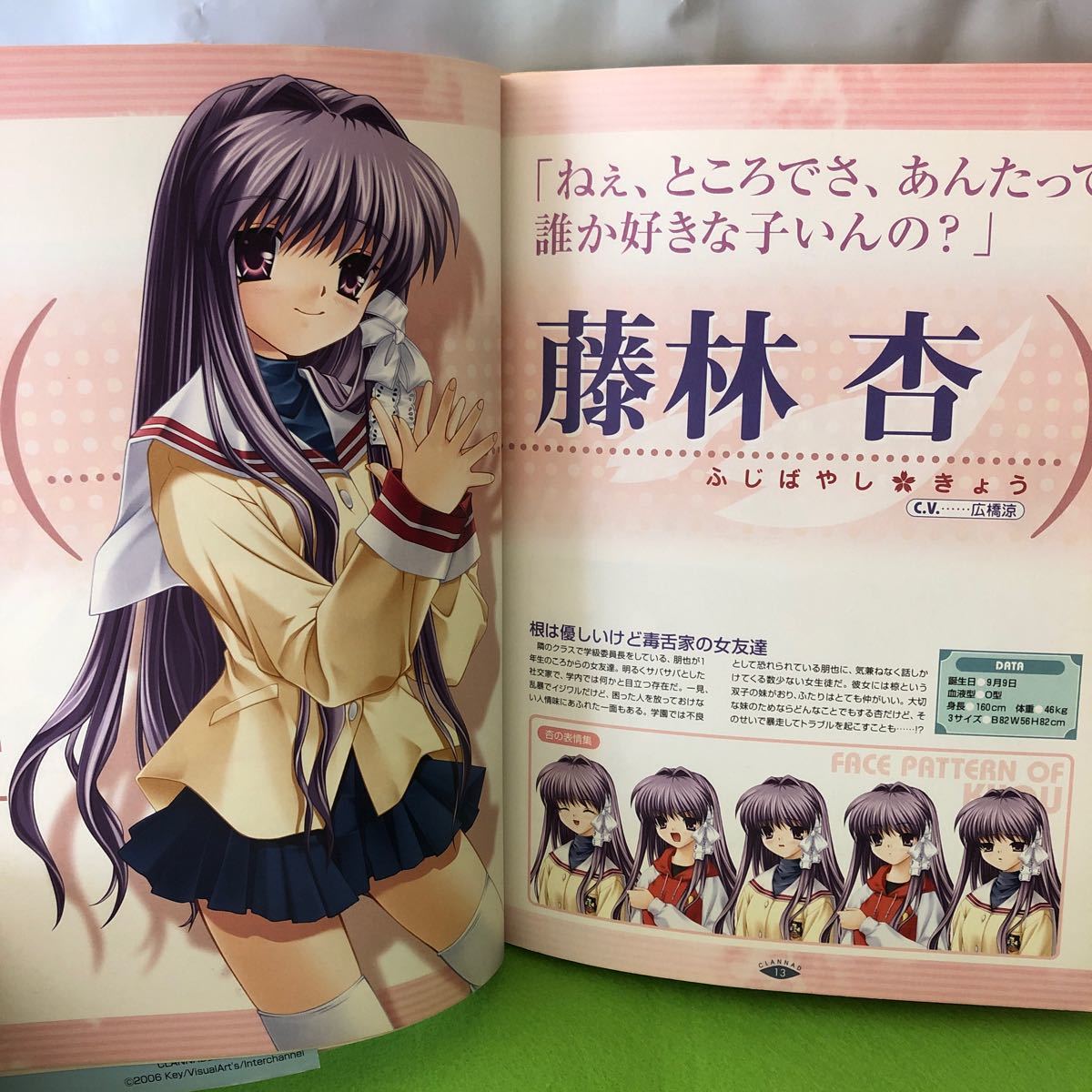 e-214 CLANNAD クラナド 公式コンプリートガイド PS2版 完全徹底 e-214 CLANNAD クラナド 公式コンプリートガイド PS2版 完全徹底