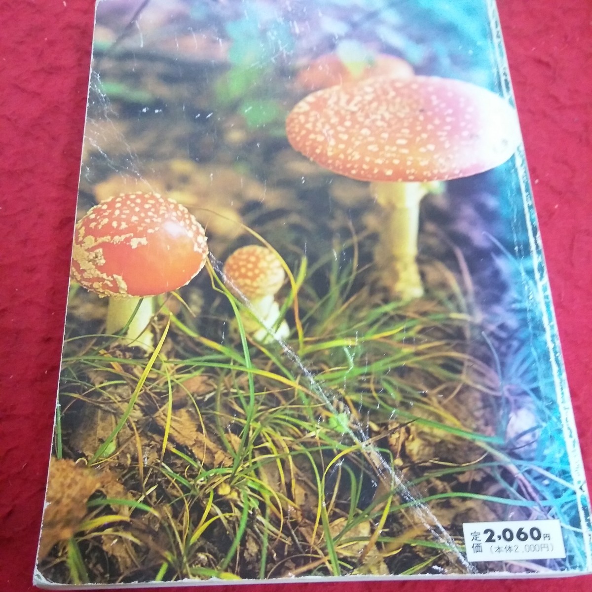 b-653. color Hokkaido. .. . illustrated reference book . peace rice field . male 1990 year issue meal ...... ., meal ... not .. . company etc. *1