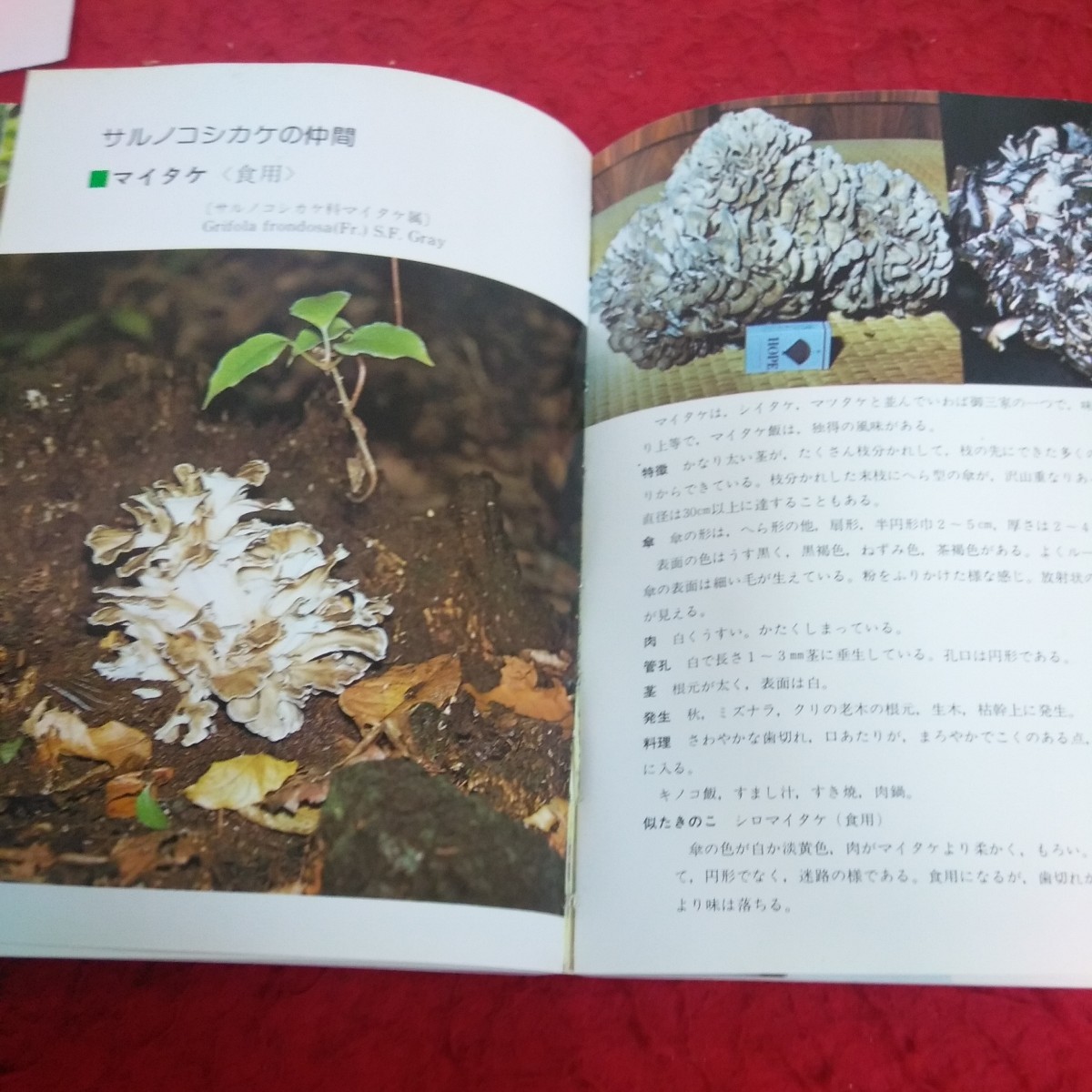 b-653. color Hokkaido. .. . illustrated reference book . peace rice field . male 1990 year issue meal ...... ., meal ... not .. . company etc. *1