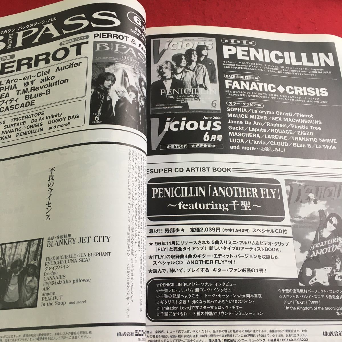 f-240※1月刊ギグス No.178 2000年6月号 PENICILLIN…等 シンコー・ミュージック_画像6