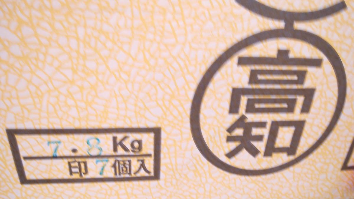 1円～スタート　訳アリ【高知県産】 隔離栽培　温室メロン　秀　7玉 　約7.8kg_画像3