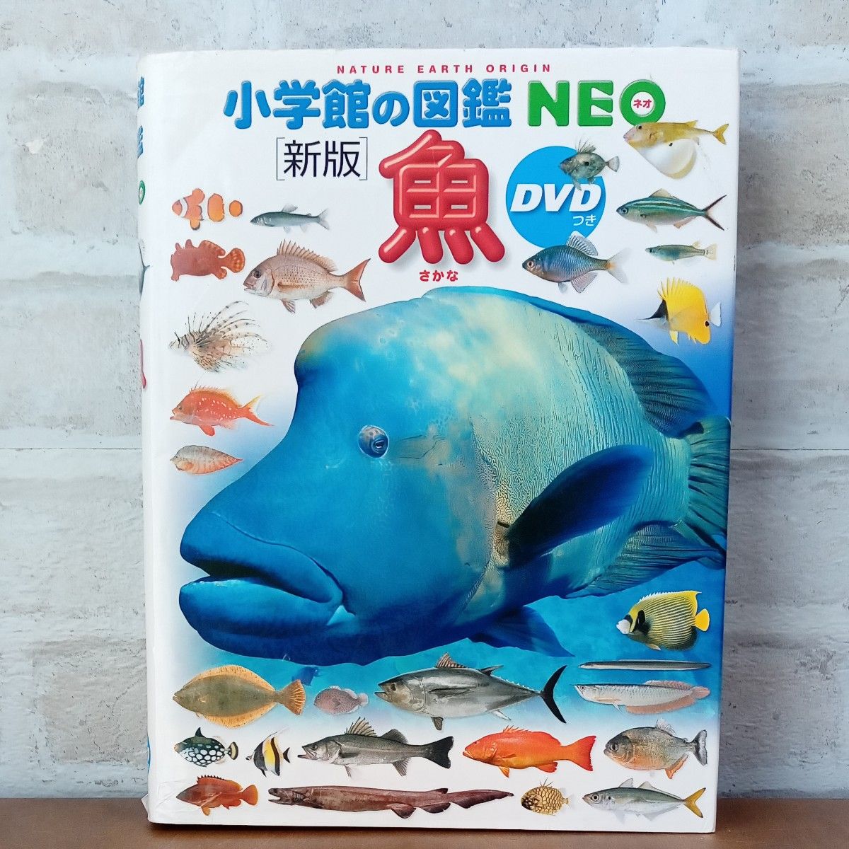 小学館の図鑑NEO【魚】 DVDつき