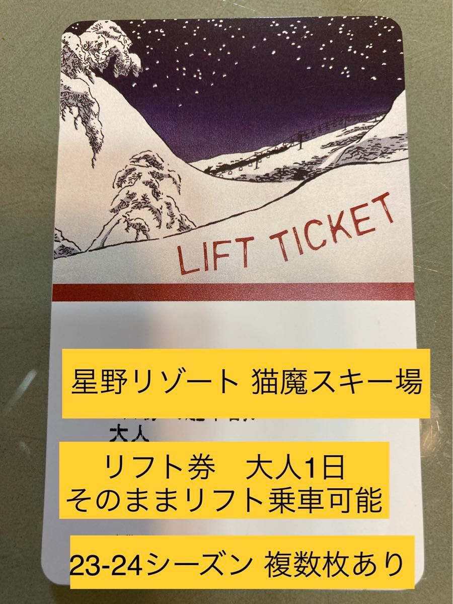 ネコママウンテン リフト券2枚セット - スキー場