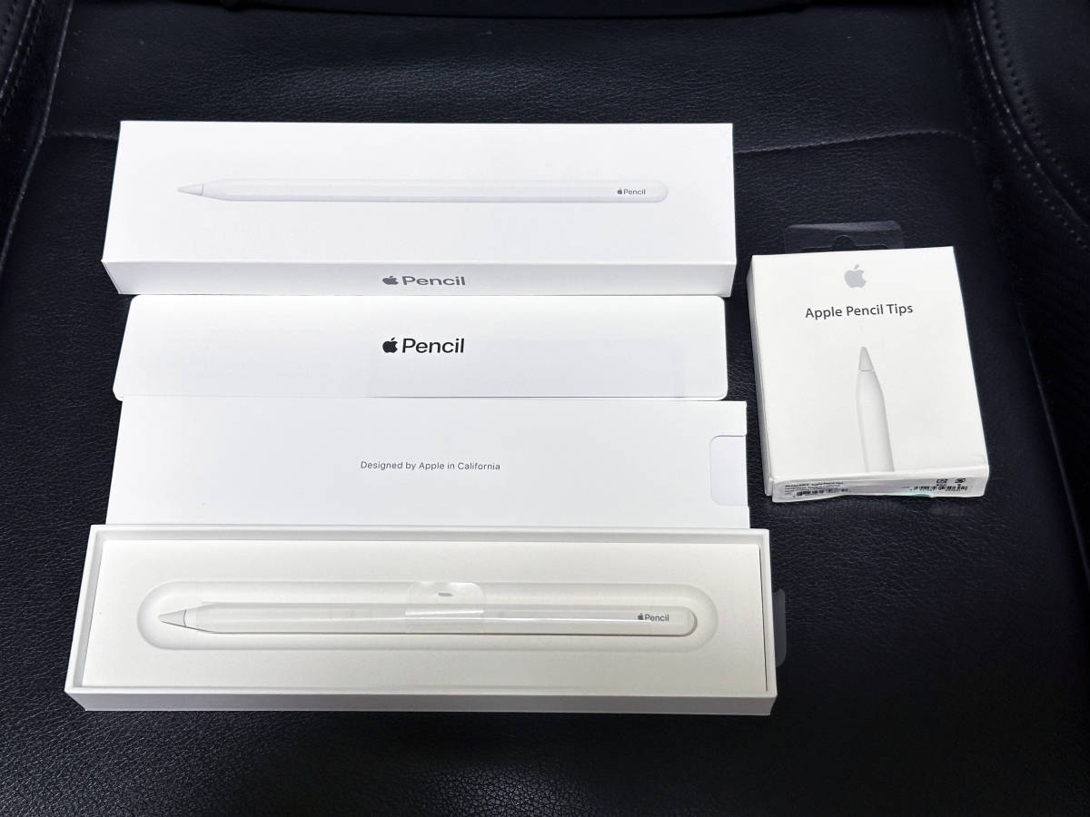 ★☆【美品】Apple Apple Pencil 第2世代 MU8F2J/A 付属品全て有り+純正交換用チップ(MLUN2AM/A) 動作チェック済み☆★_付属品完備・美品です♪