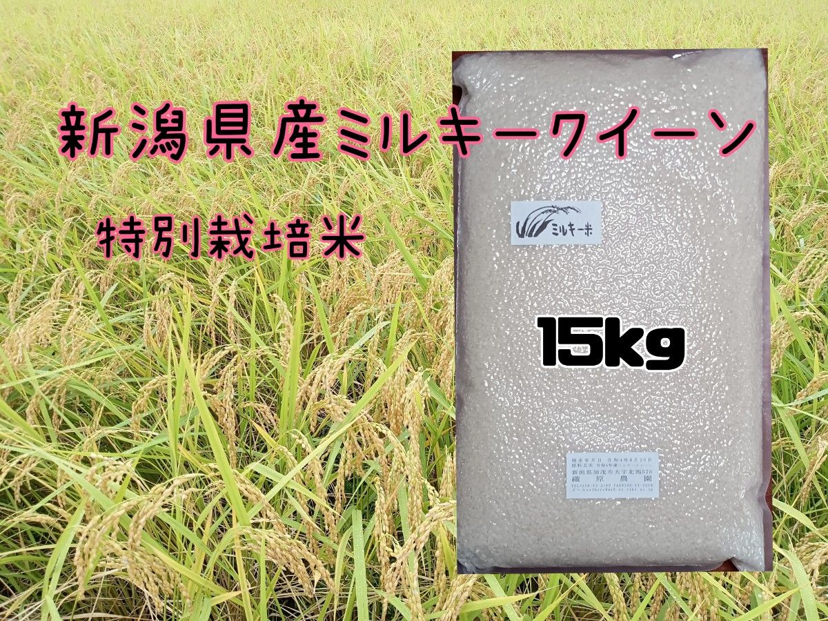 特別栽培米新潟県産ミルキークイーン15k