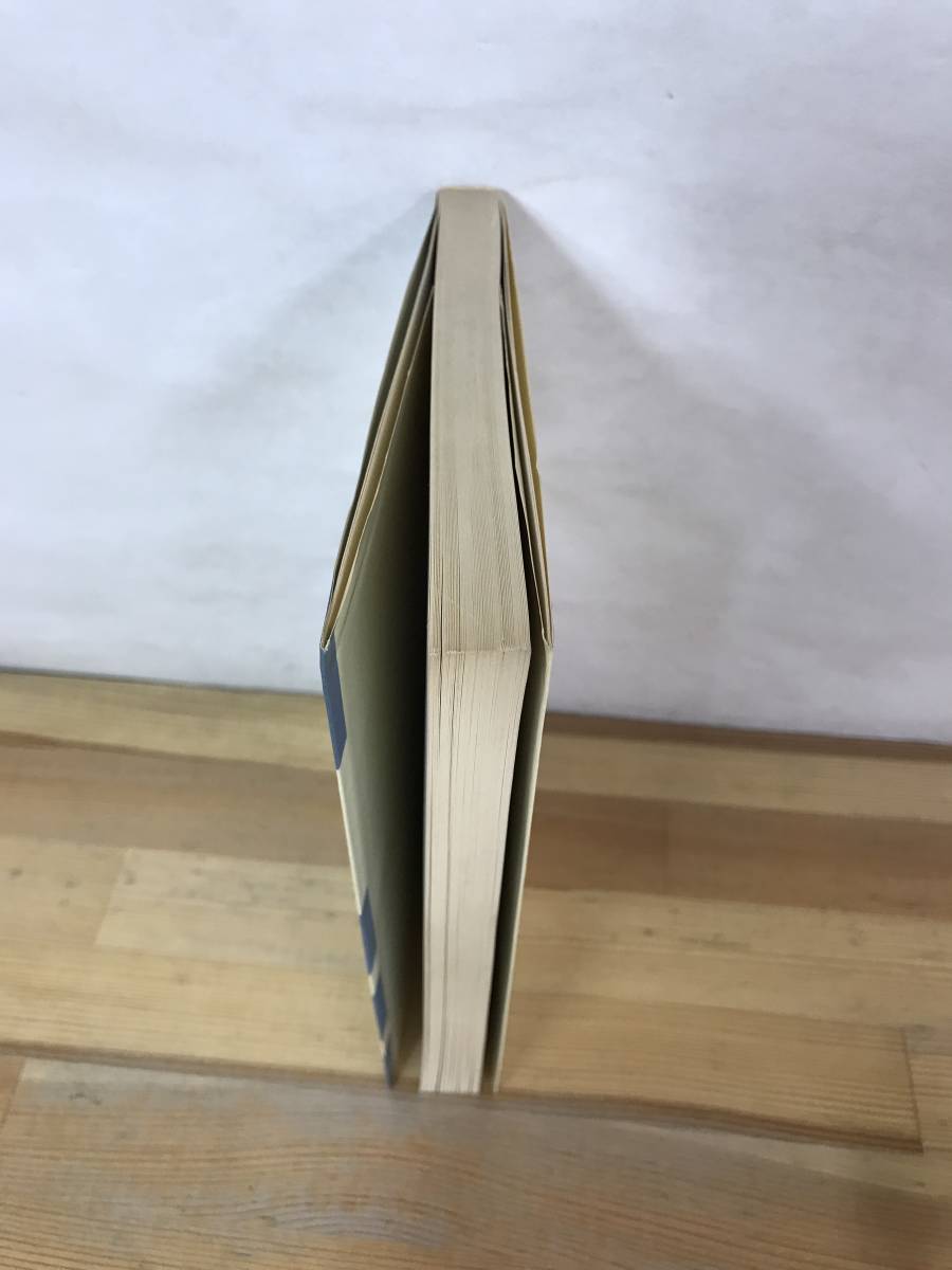 英作文の解法 | 金子 稔 |本 | 通販 | Amazon