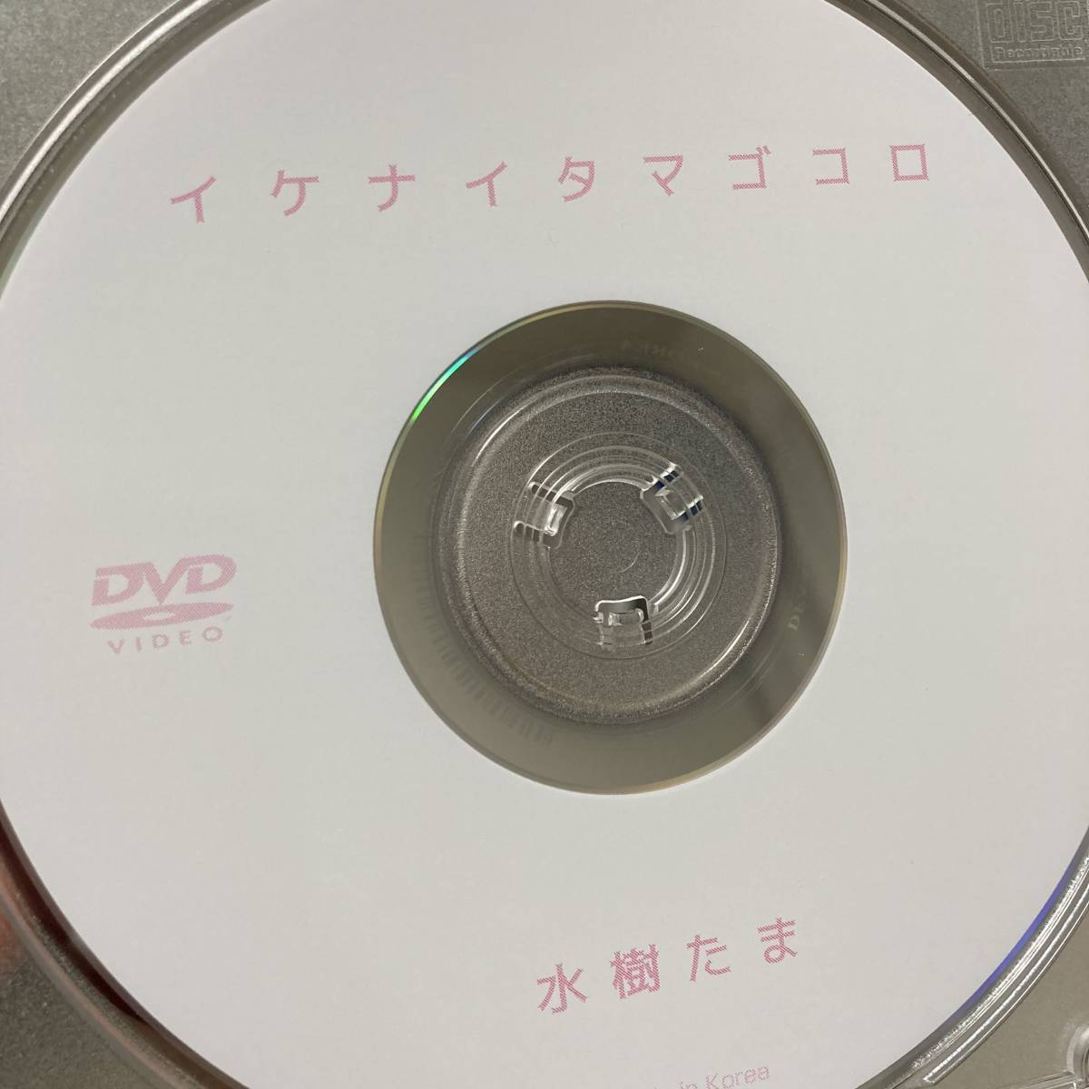 水樹たま「イケナイタマゴコロ」DVD（ディスクのみ中古 フェイス DFAA-021 ぽっちゃり 巨乳 爆乳 紐ビキニ ）_画像1