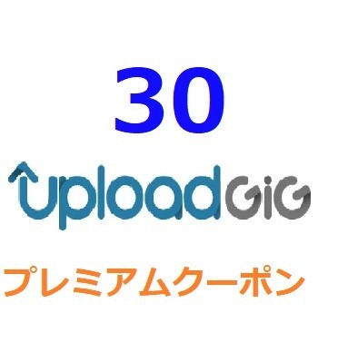 Uploadgig公式プレミアムクーポン 30日間　入金確認後1分～24時間以内発送_画像1
