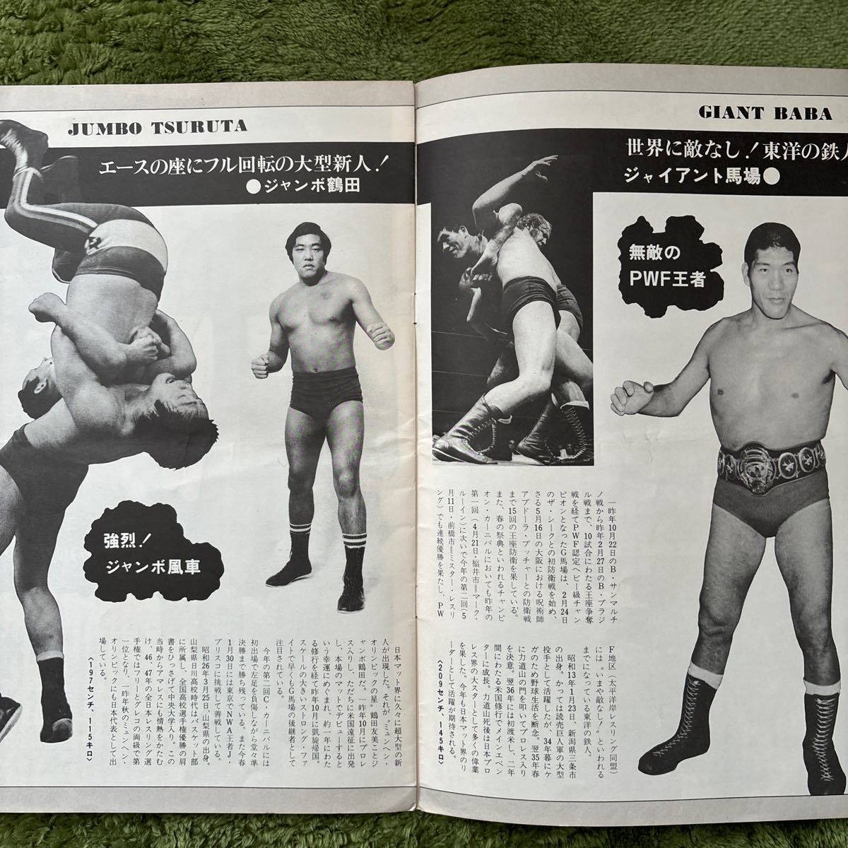 レア!全日本プロレス　74マジソンスクェアガーデンシリーズパンフ_画像4