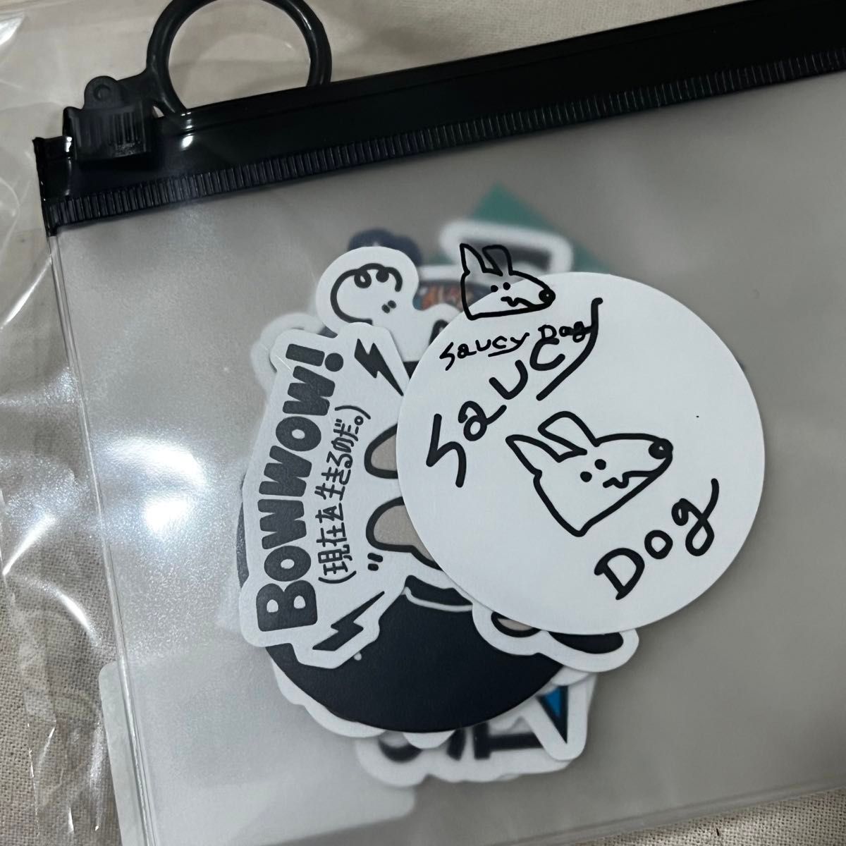 新品未開封 Saucy Dog ステッカー