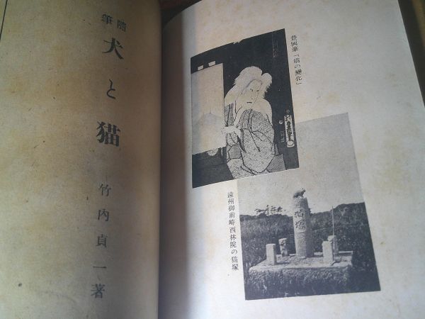 竹内貞一『随想　犬と猫』畜産獣医出版協会　昭和21年初版　序文 村松春水　警視庁獣医科勤務医の犬猫随筆　狂犬病　怪猫_画像3