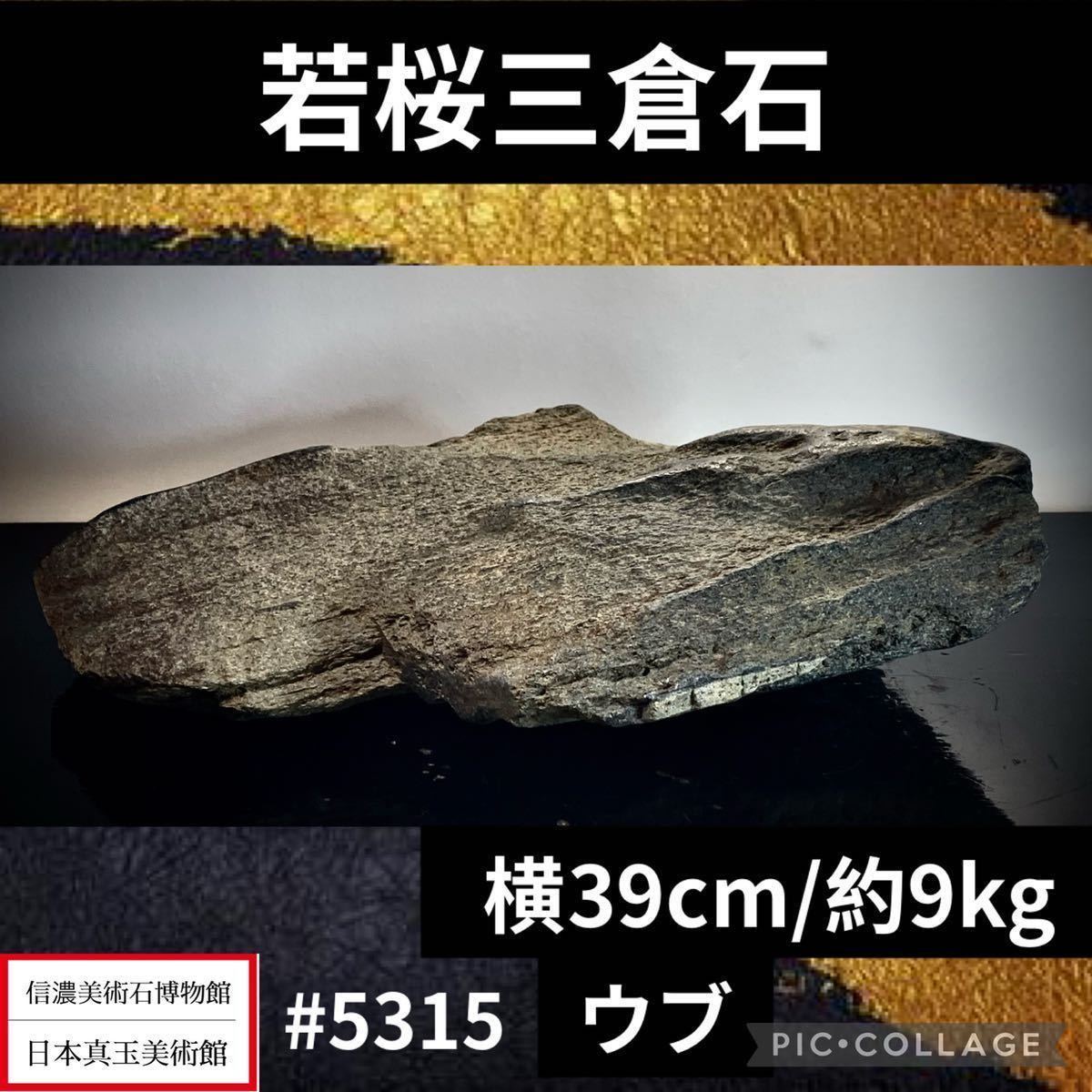 水石 若桜三倉石 盆栽 盆石 鑑賞石 観賞石 中国古玩|その他 水石 若桜三倉石 盆栽 盆石 鑑賞石 観賞石 中国古玩|その他