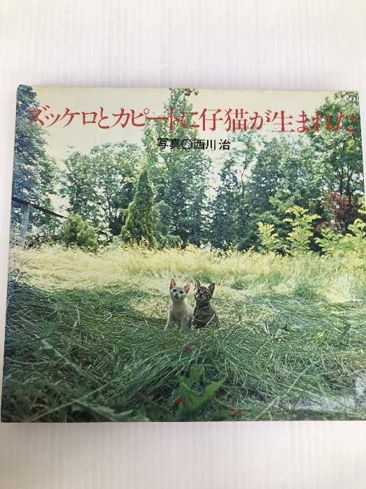 中古】 イギリス女性運動史 1792-1928 【新装版】 中古】 イギリス女性運動史 1792-1928 【新装版】