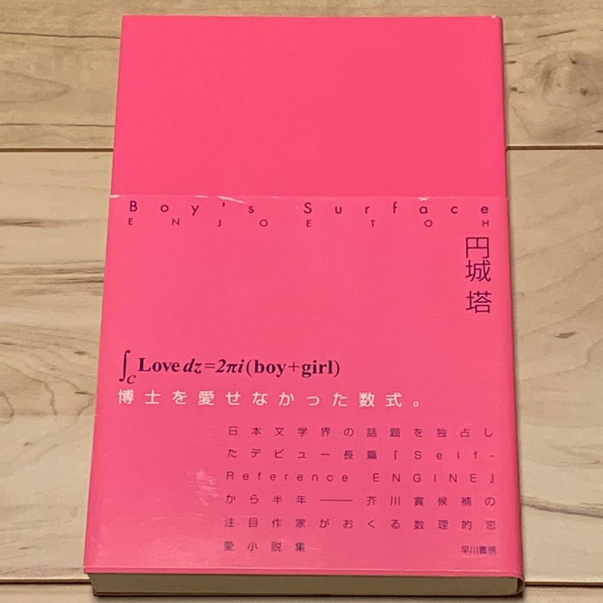 初版帯付 円城塔 Boy's Surface ハヤカワSFシリーズJ 初版帯付 円城塔 Boy's Surface ハヤカワSFシリーズJ