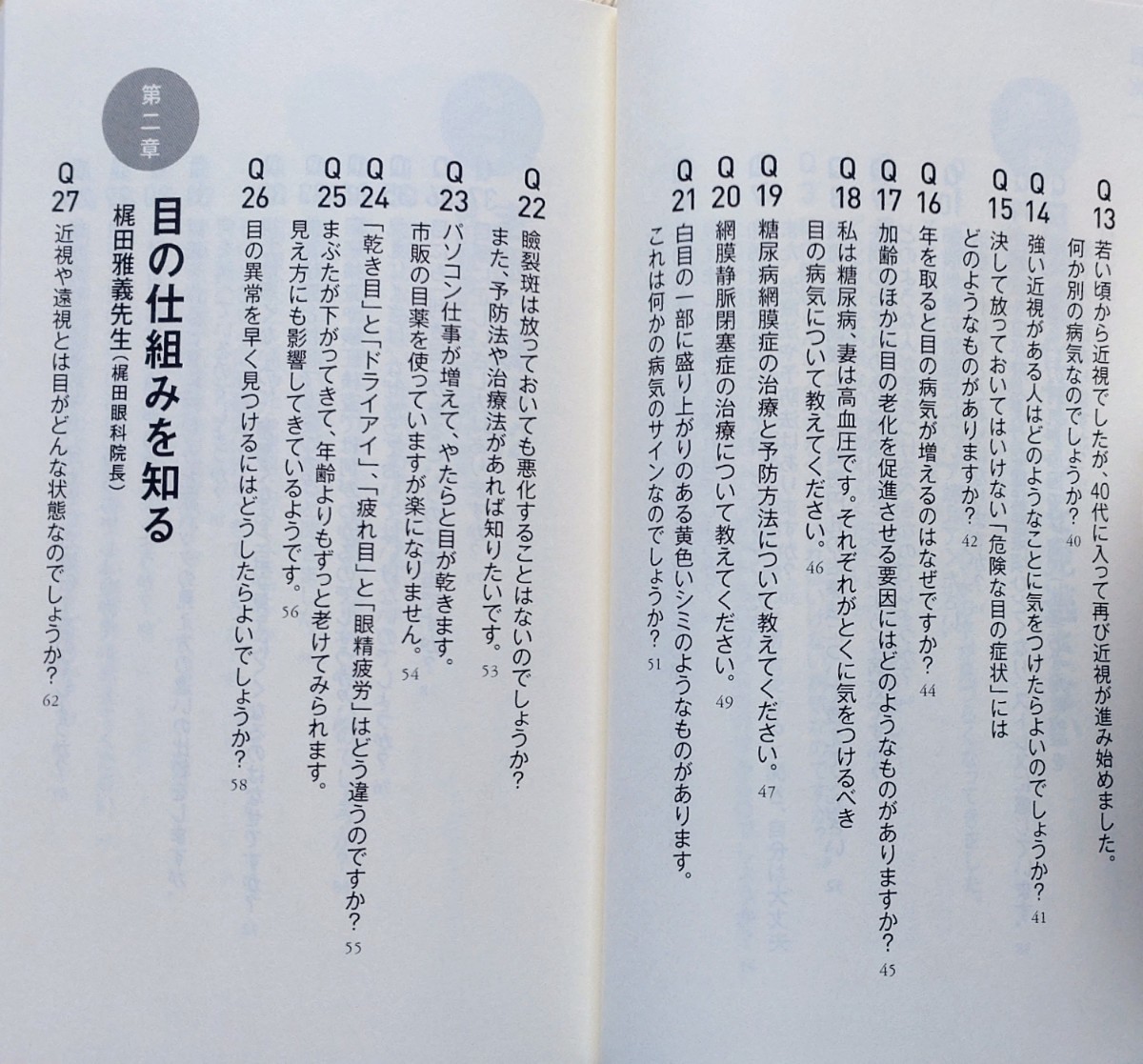 名医が教える新知見 老眼・緑内障・白内障の克服法100/相原一・根岸一乃・梶田雅義・平松類_画像5