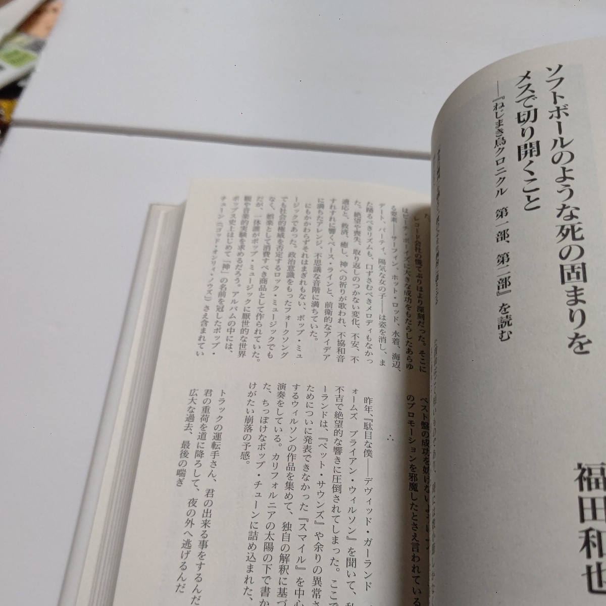 美品 群像日本の作家 村上春樹 作品論、人物論、対談などを収録。文学世界を散歩する 執筆…吉行淳之介 丸谷才一 吉本隆明 川村湊 福田和也_画像9