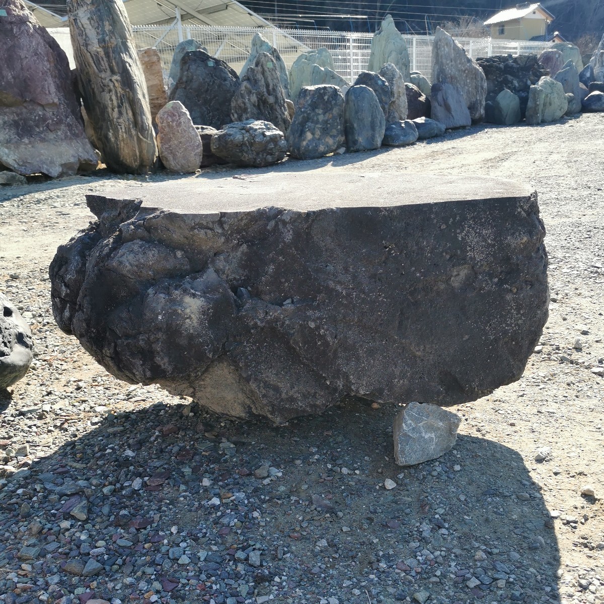 浅間溶岩石台石155キロ 庭石鑑賞石石盆石水石灯籠庭坪庭盆栽 浅間溶岩石台石155キロ 庭石鑑賞石石盆石水石灯籠庭坪庭盆栽