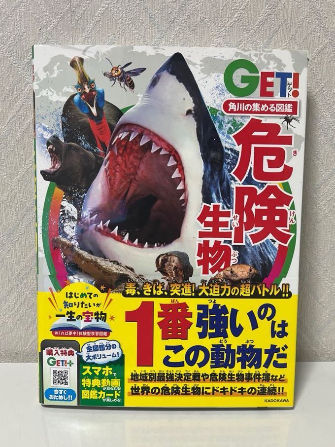 601i2901 Kadokawa. сборник .. иллюстрированная книга GET! опасно живое существо 
