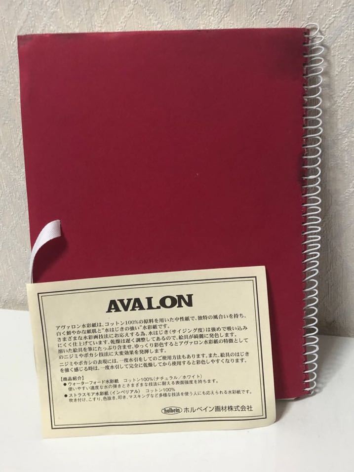 601i2925 ホルベイン アヴァロン水彩紙 AVS-SM 中目 300g SMサイズ スプリング 12枚綴じ _画像2