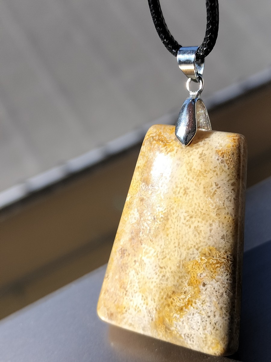 [ распродажа товара ] Fossil коралл натуральный камень шт. type подвеска с цепью колье 