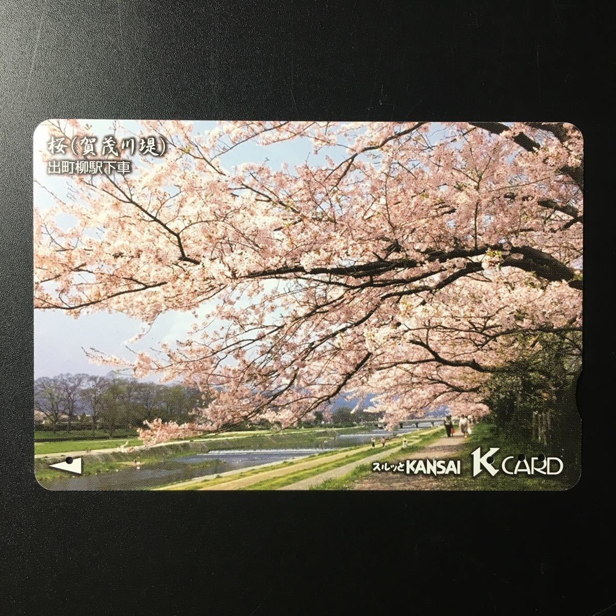 京阪/券売機カードー「桜(加茂川堤)」ー2005年度発売開始柄ー京阪スルッとKANSAI Kカード(使用済)_画像1