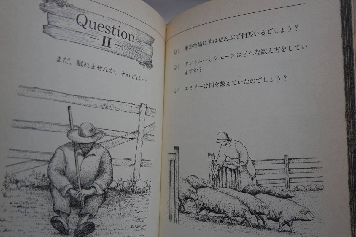 .. counting ..book@COUNT SHEEP.......... mystery . picture book 