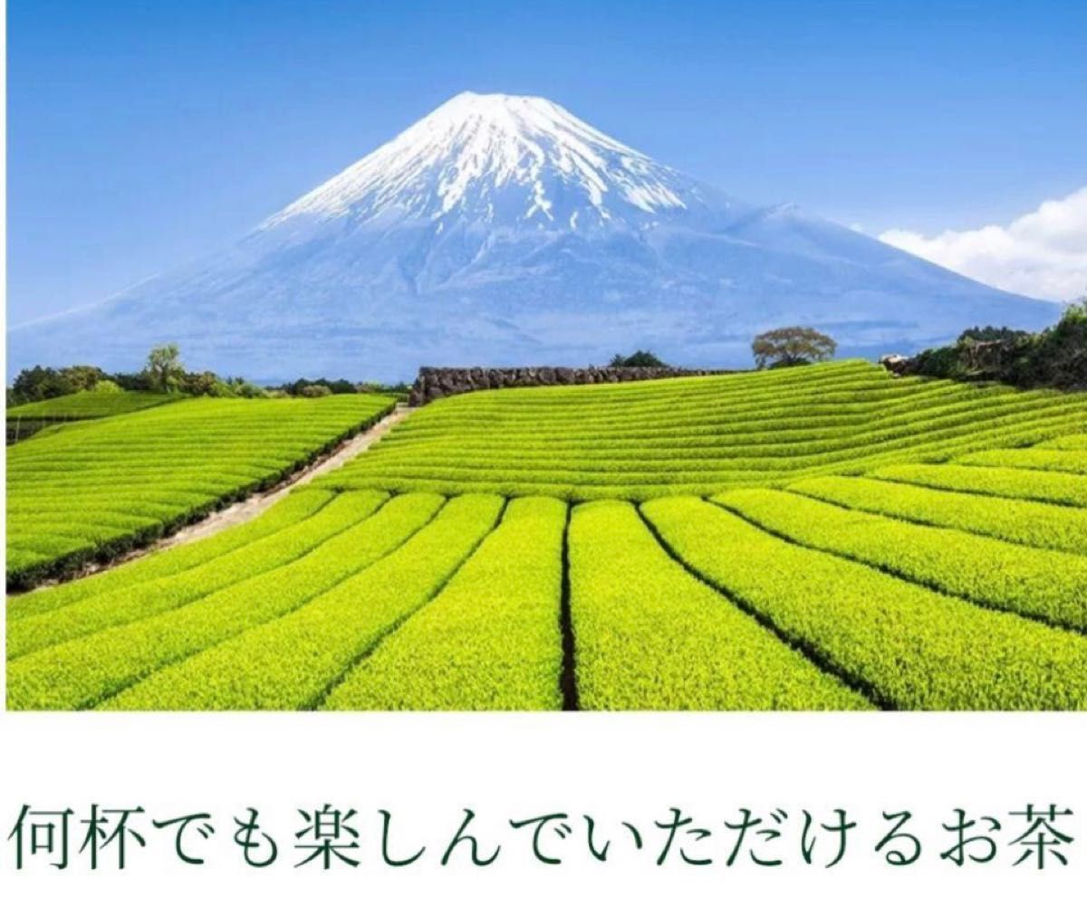 8.京都料亭板前おすすめ抹茶玄米茶２５０G⇒２００％増量⇒５００Gお子様人気　たっぷりの茶葉で美味　春期間限定品　富士山の恵み