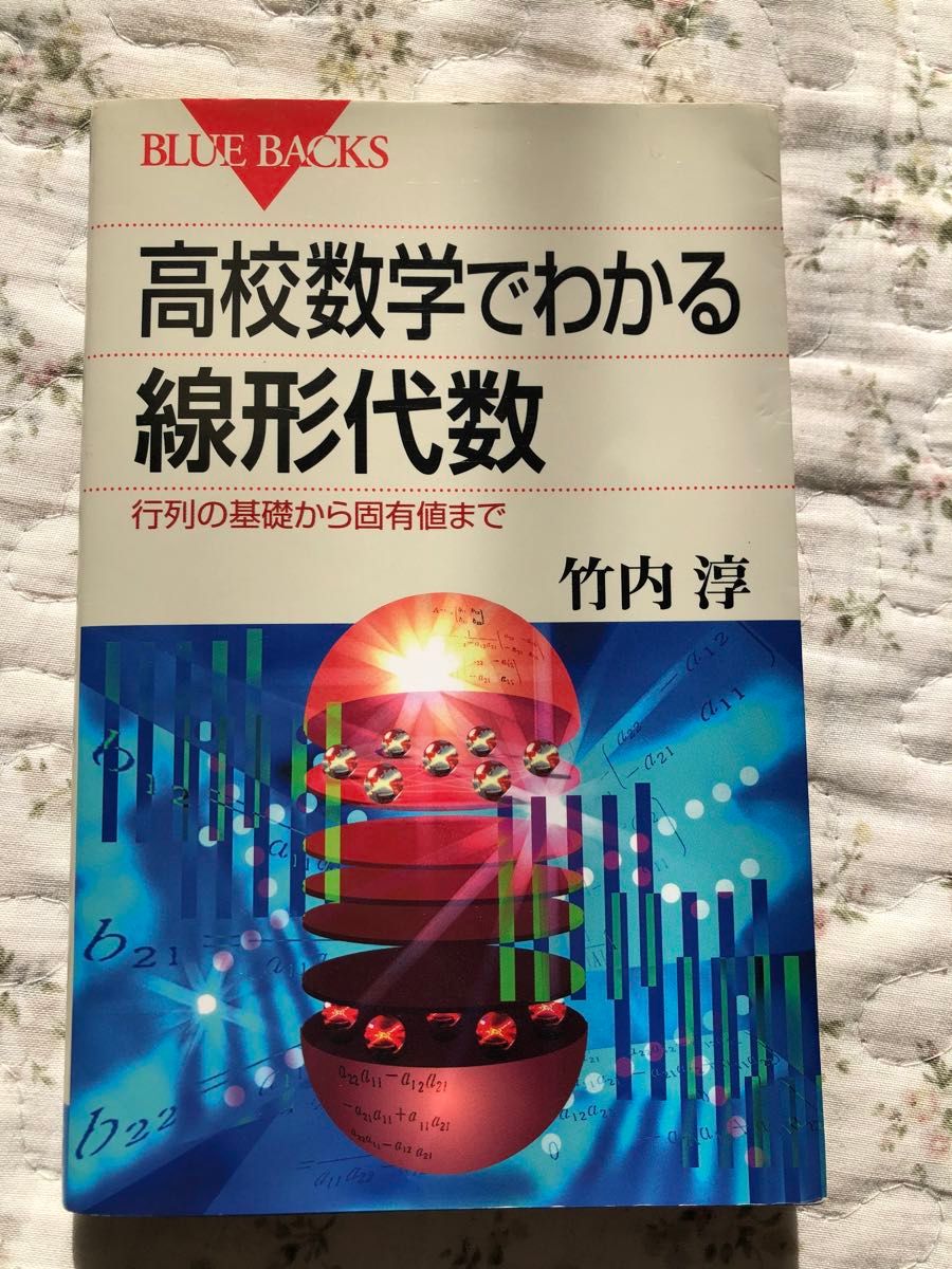 高校数学でんかる線形代数 ブルーバックス