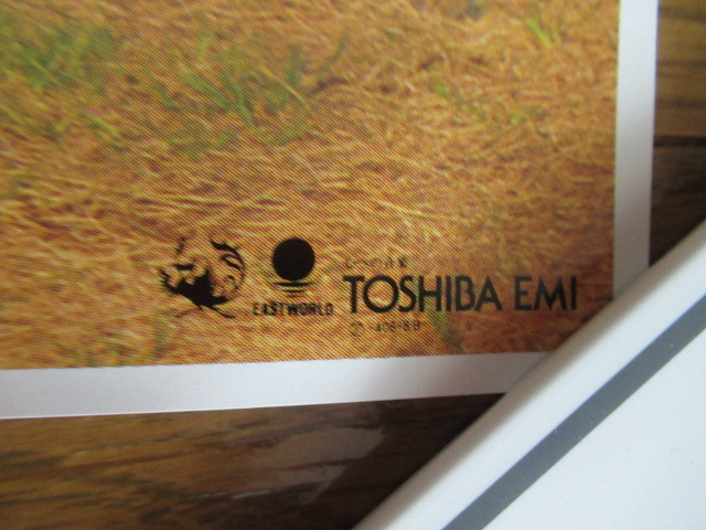  подлинная вещь Harada Tomoyo постер 51.5cm×72.5cm love . история Kadokawa весна . Toshiba EMI не продается 
