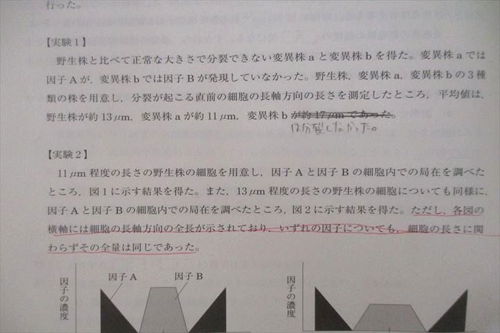 VT25-107 河合塾 大阪大学 阪大生物 テキストセット 2017 夏期/直前 計2冊 13m0D_画像4