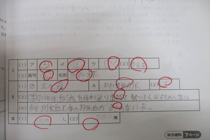 VU26-102 SAPIX 小学6年 志望校別特訓 理科 ウィークリーサピックス WS-01～34/36 計35回分セット 2017 99R2D_画像3