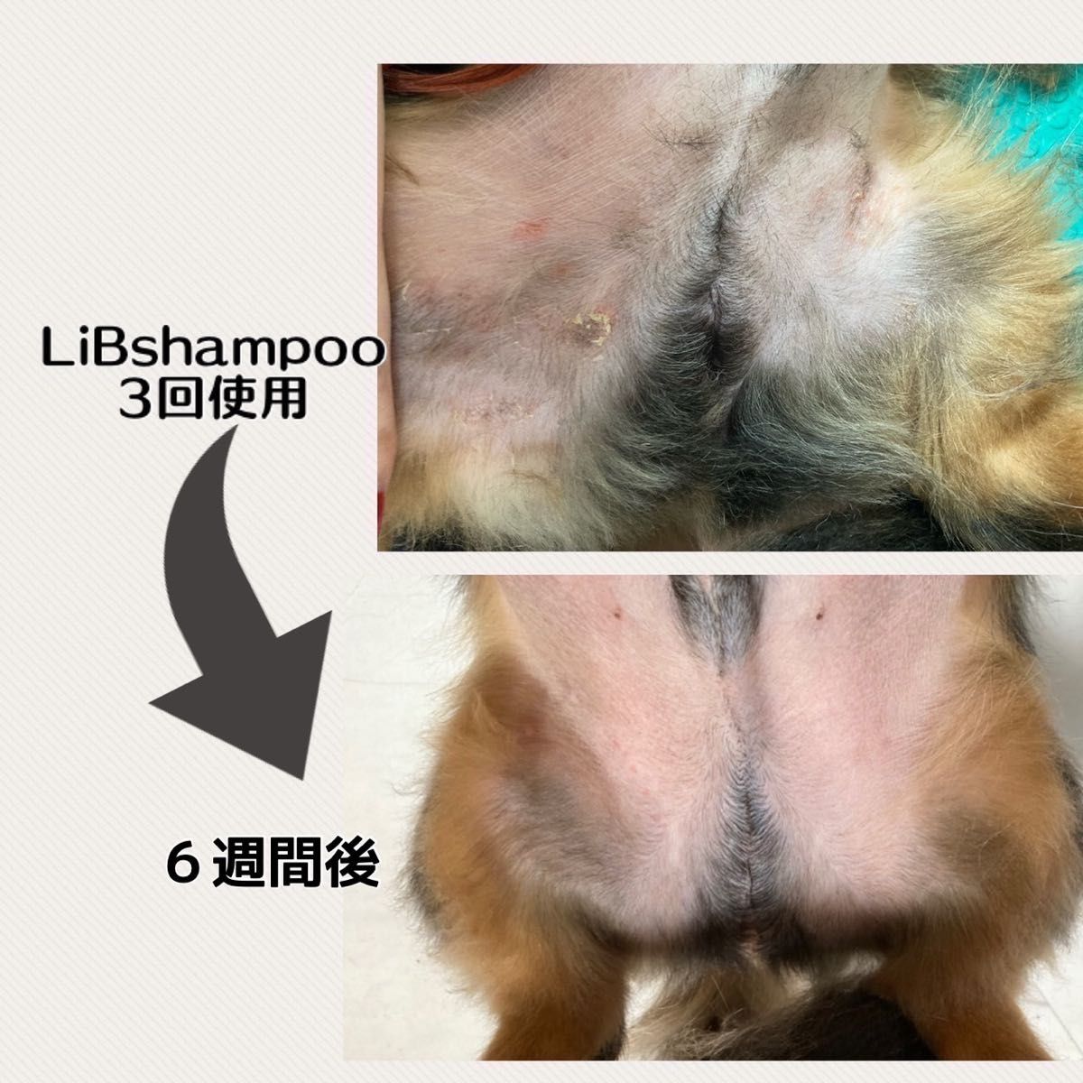 LiBshampoo（犬用シャンプー）300ml