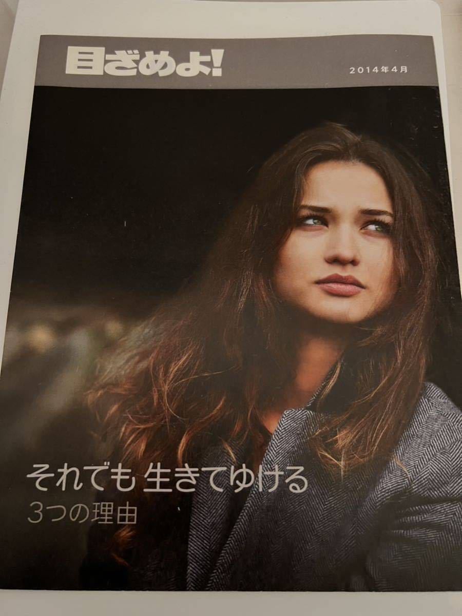 エホバの証人 冊子・聖書セット_画像5