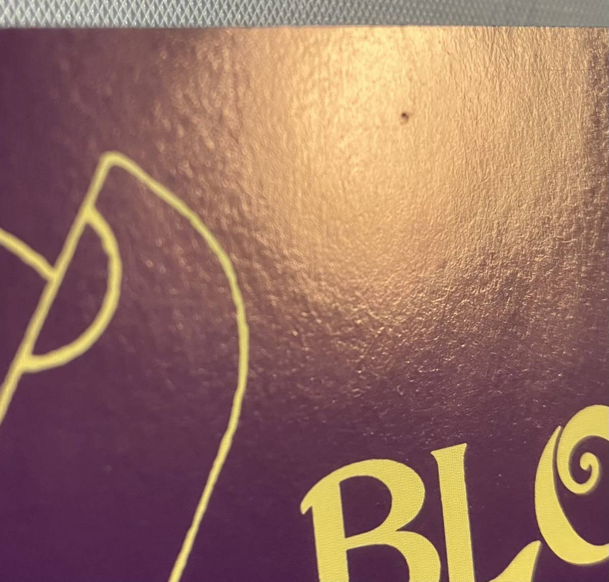 Amazing Blondel「Blondel」[輸入CD] アメイジング・ブロンデル, 英国ロック, 英国フォーク, STEVE WINWOOD, PAUL RODGERS, FREE_画像10