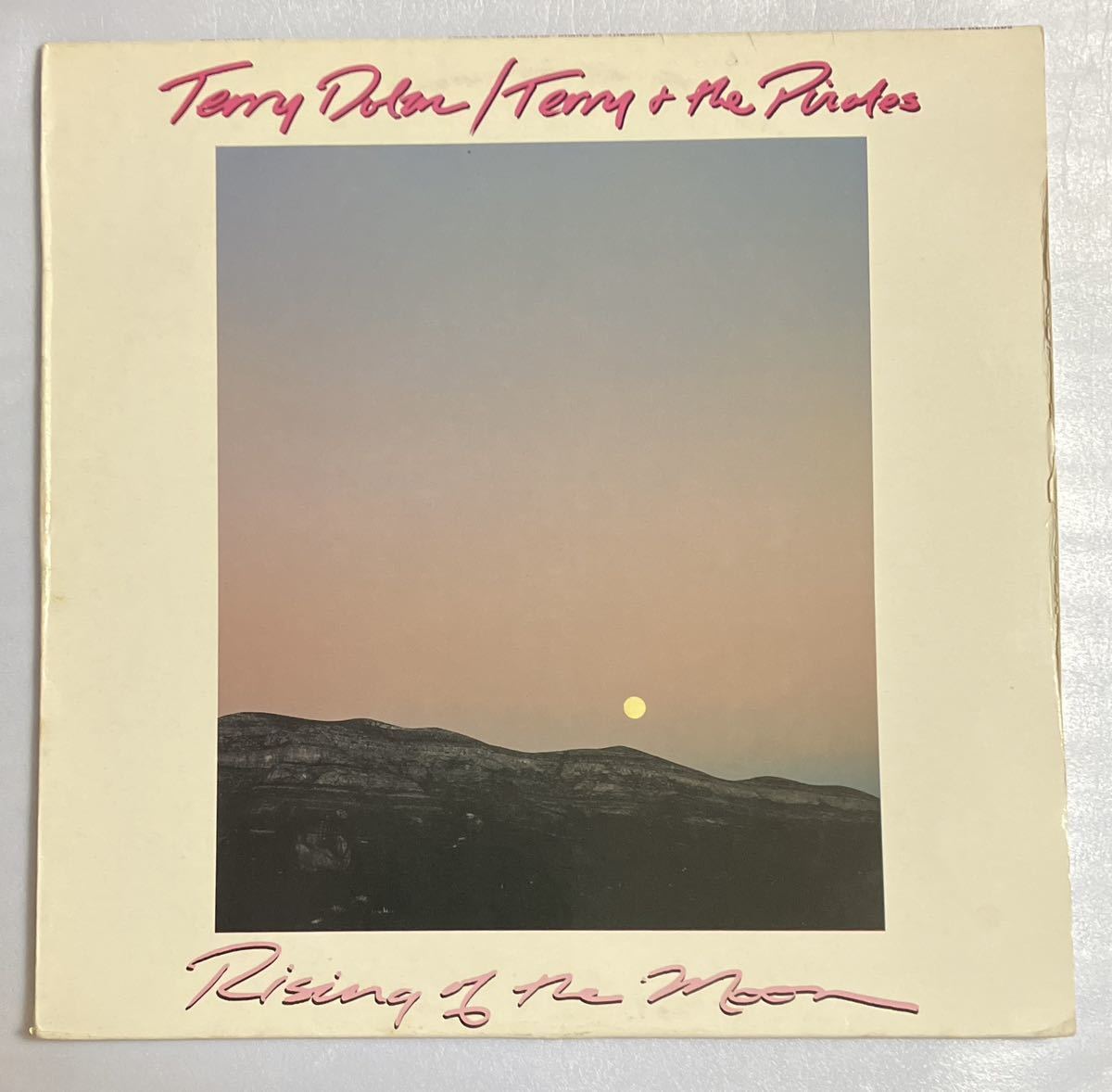 Terry Dolan, Terry & The Pirates「Rising Of The Moon」[輸入盤レコード] LP, テリー・ドーラン, Nicky Hopkins, Pete Sear_画像1
