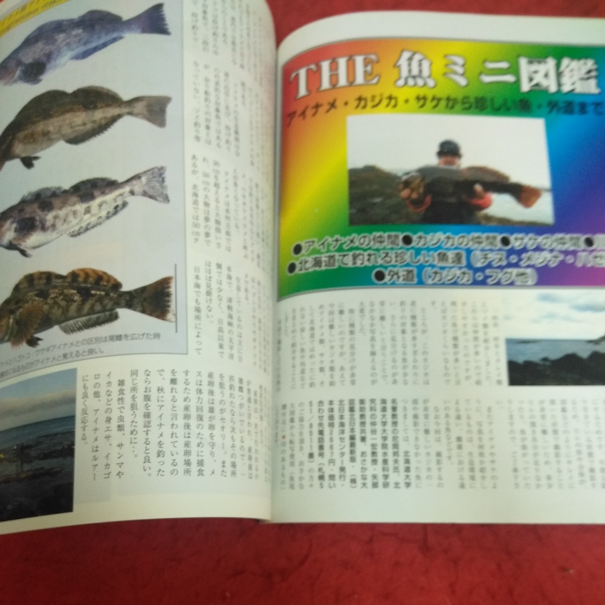 d-327 北海道のつり 2005年発行 1月号 付録 ミニ図鑑 ザ・魚 水交社 アイナメの仲間・カジカの仲間 サケの仲間・川魚 など※2_画像5