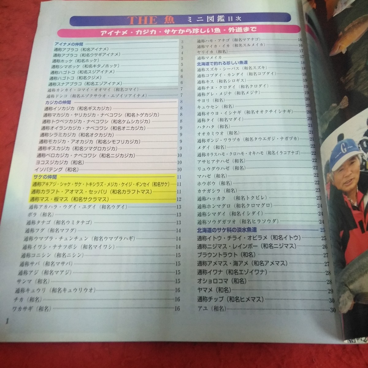 d-327 北海道のつり 2005年発行 1月号 付録 ミニ図鑑 ザ・魚 水交社 アイナメの仲間・カジカの仲間 サケの仲間・川魚 など※2_画像4