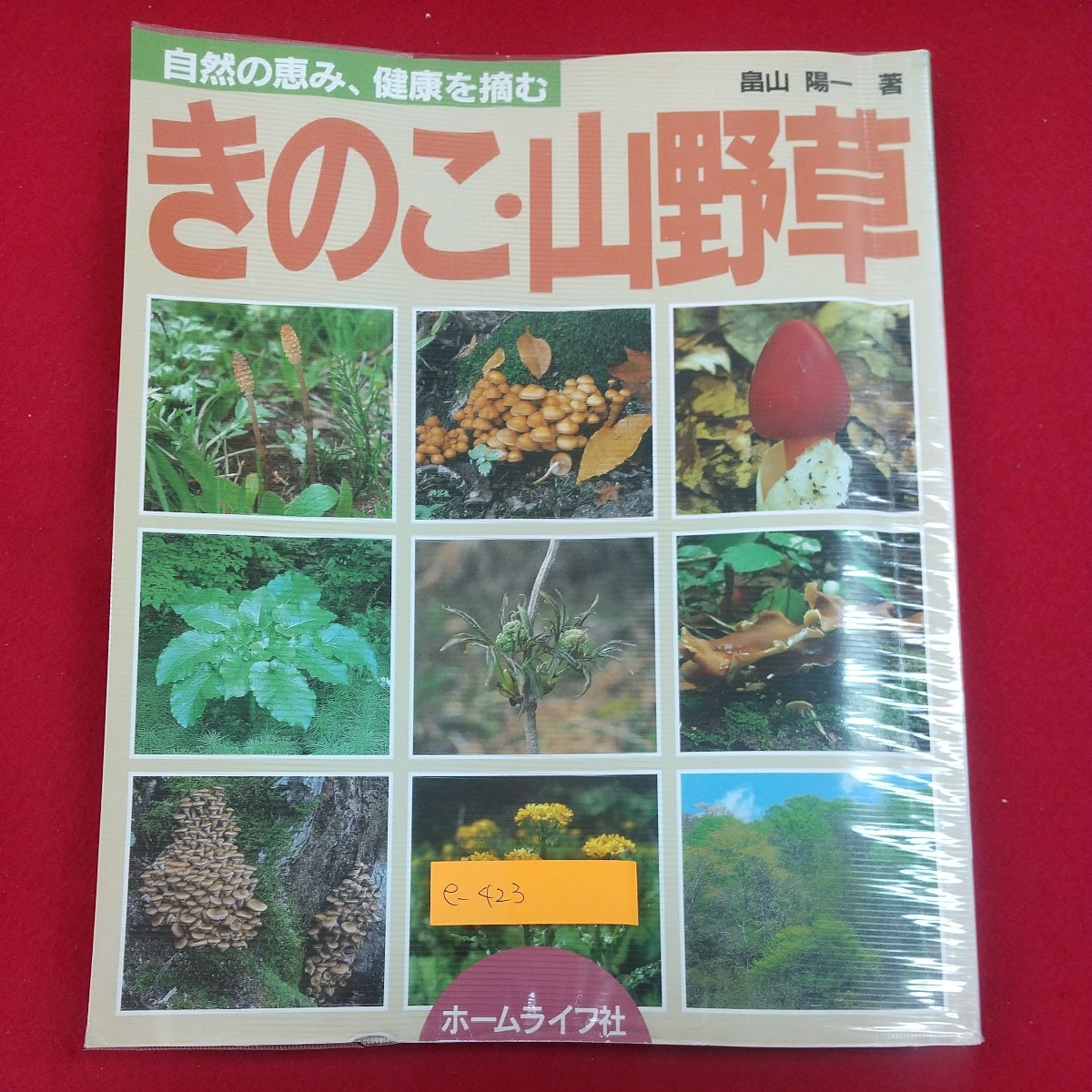 e-423※2 自然の恵み、健康を摘む きのこ・山野草 畠山陽一著 ホームライフ社 平成5年10月1日初版発行 オーロラ社 きのこ狩りの楽しみ