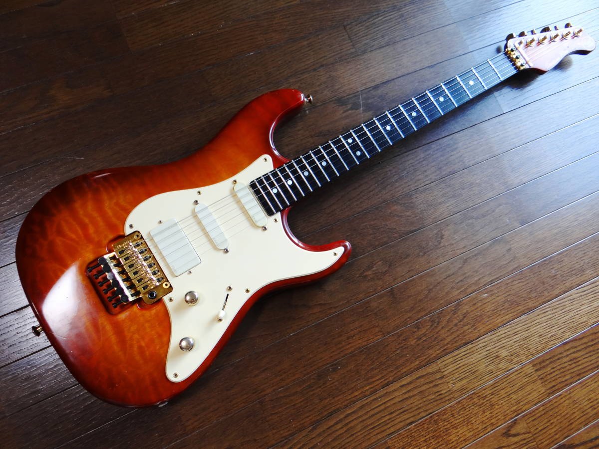 VALLEY ARTS JAPAN M series / Custom Pro Warmoth Neck 銘品_画像1